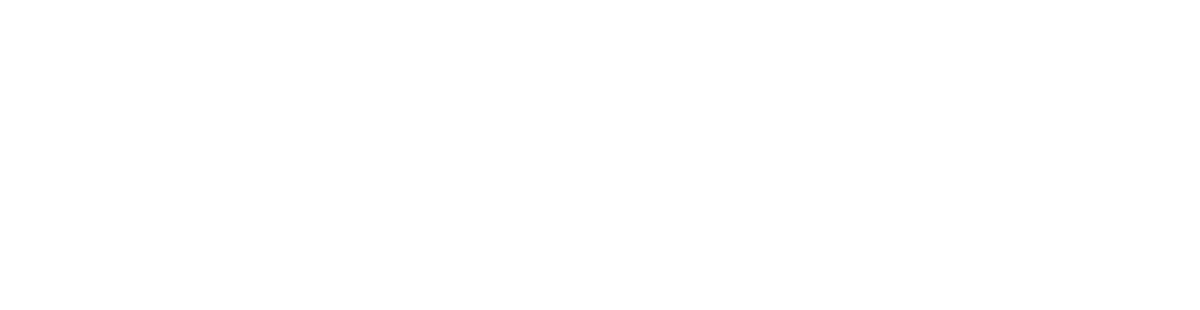 Namhost logo