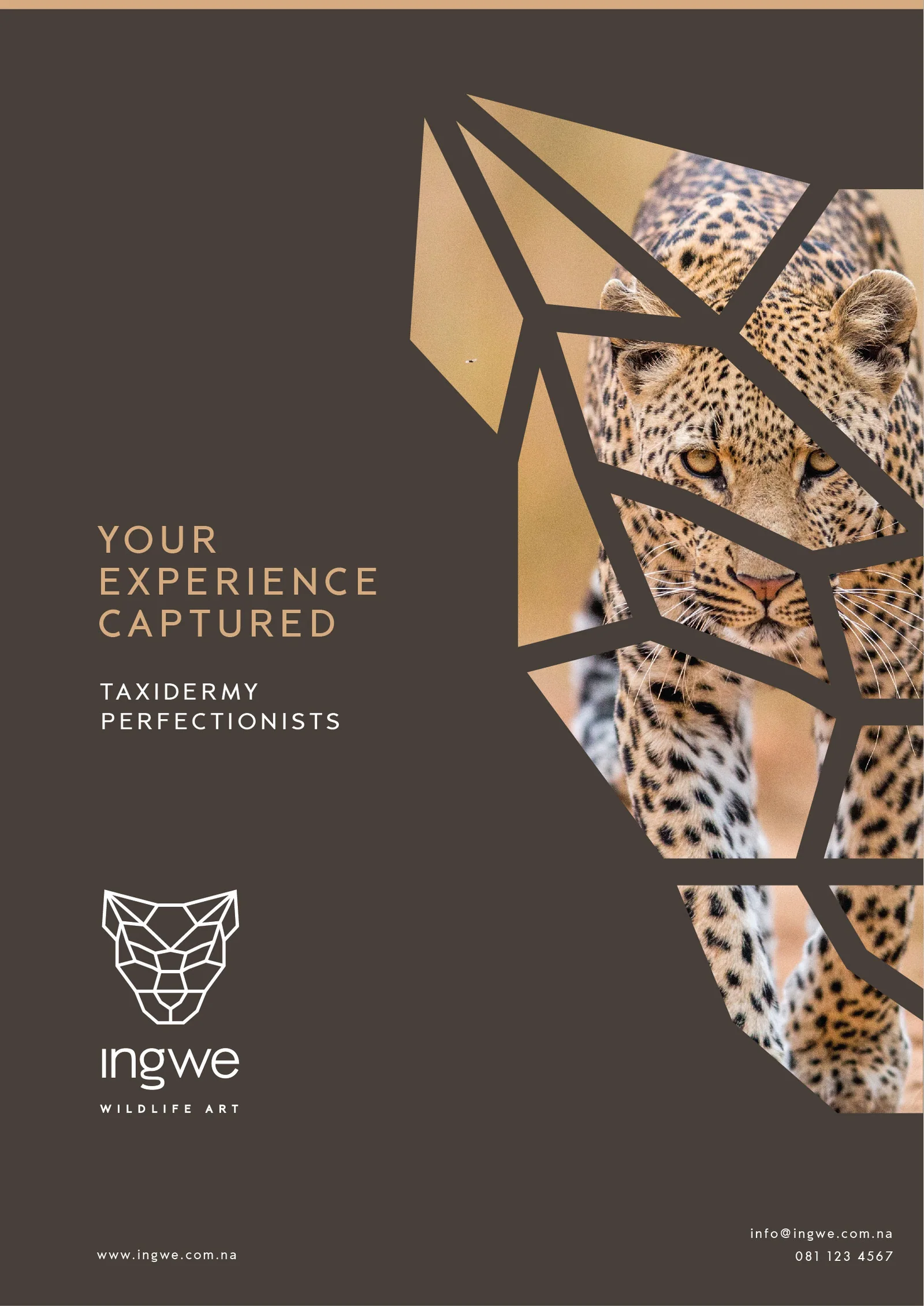 Ingwe Wildlife Art brochure and conservation brand design by BrandsByAura