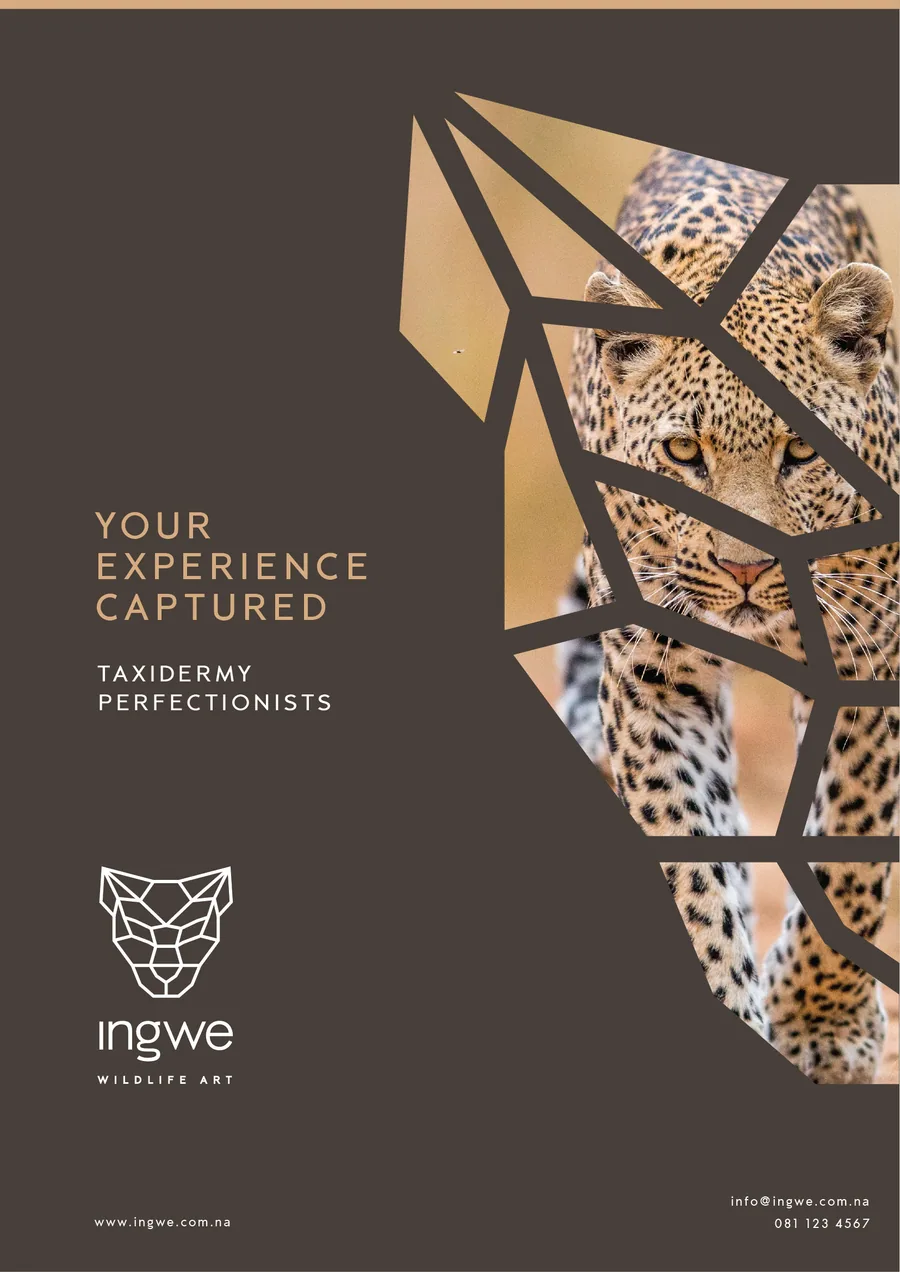 Ingwe Wildlife Art brochure and conservation brand design by BrandsByAura