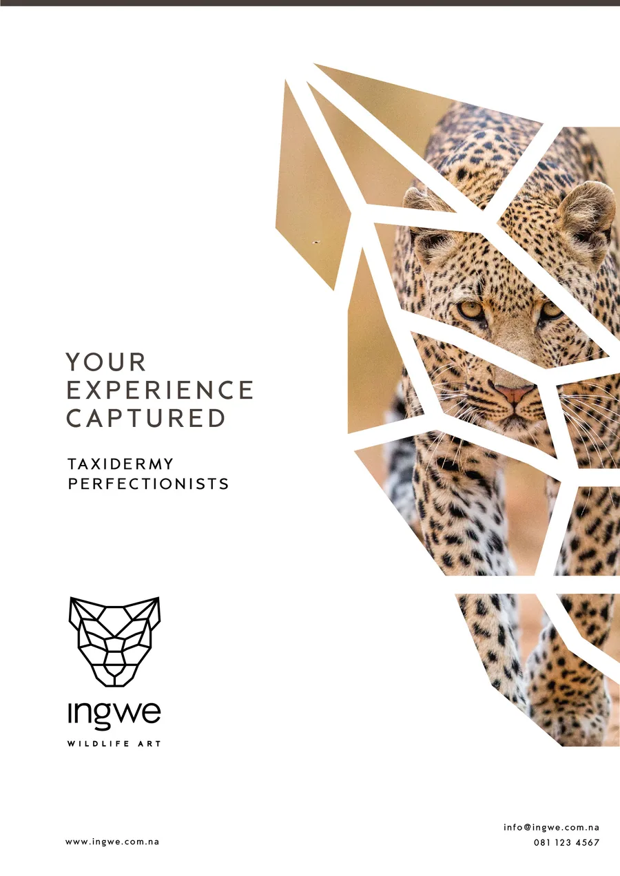 Ingwe Wildlife Art light brochure layout and visual identity by BrandsByAura